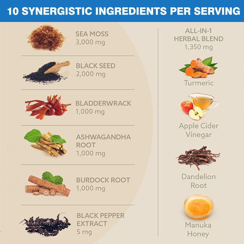 कस्टम लेबल 10-इन-1 मिश्रण प्रतिरक्षा प्रणाली को बढ़ावा देता है सी मॉस कैप्सूल अश्वगंधा सप्लीमेंट
