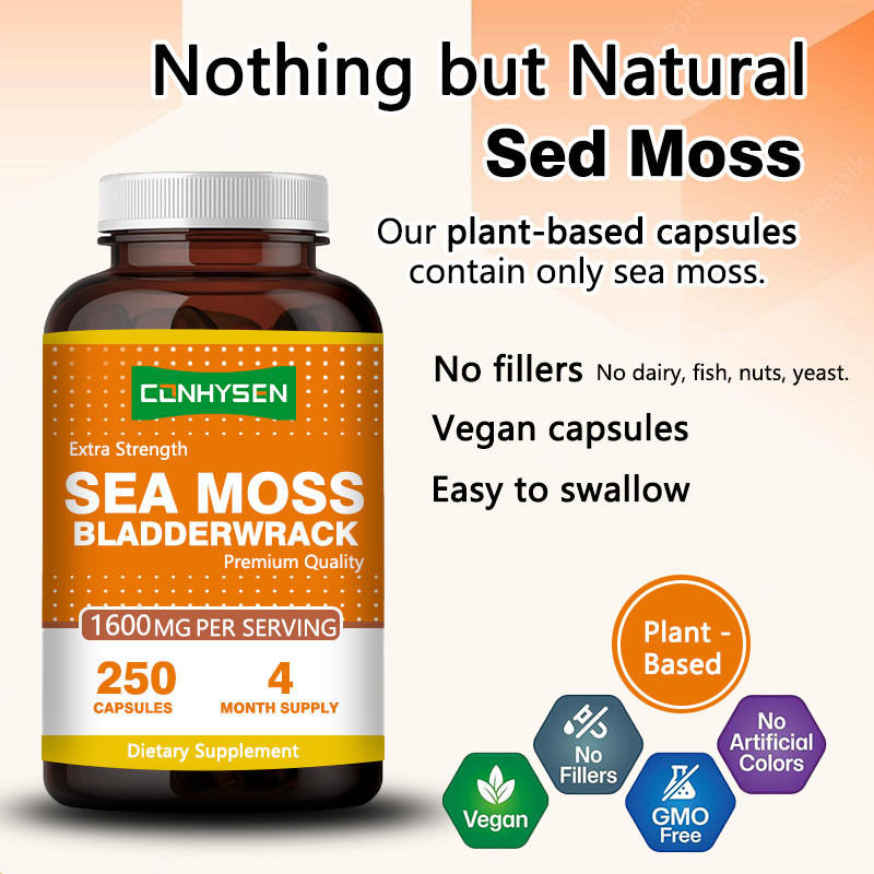 Good Quality Sea Moss Capsules GMO Free Bladderwrack Extract Capsule 1600mg Supports Gut Health