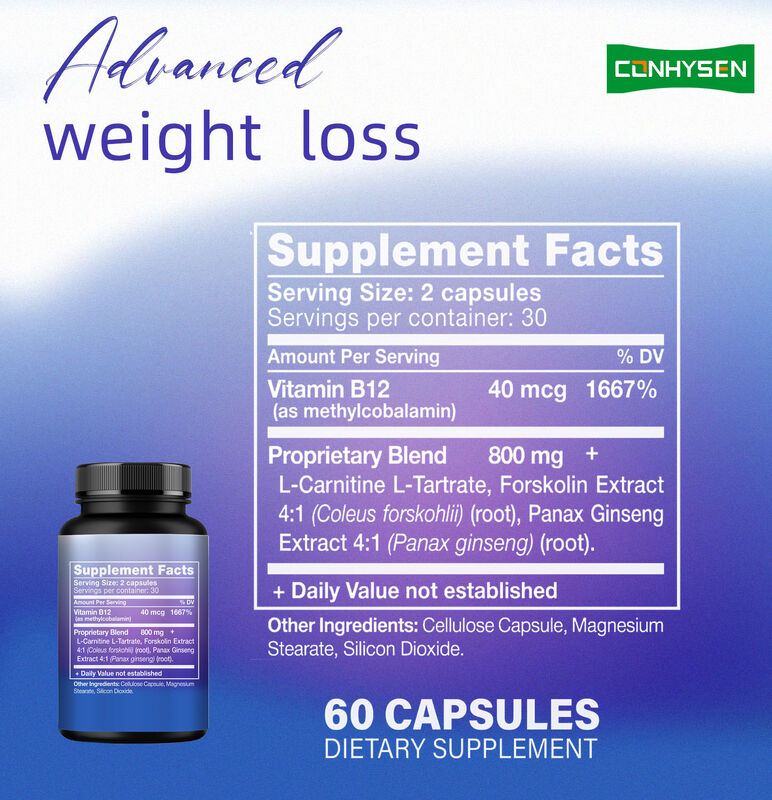 पुरुषों के लिए शीर्ष गुणवत्ता वाले वसा बर्नर पूरक महिलाओं के साथ पैनैक्स जिंसेंग, एल-कार्निटाइन निकालें 60 शाकाहारी वसा आहार फाइबर