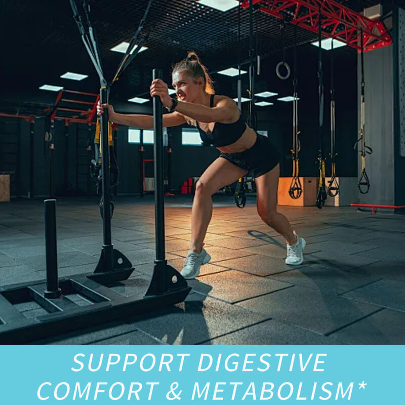 प्राइवेट लेबल डाइटरी फाइबर सप्लीमेंट्स फैट बर्नर कैप्सूल ब्यूटी प्रोडक्ट्स सप्लीमेंट एपेटाइट सप्रेसेंट और एनर्जी बूस्टर